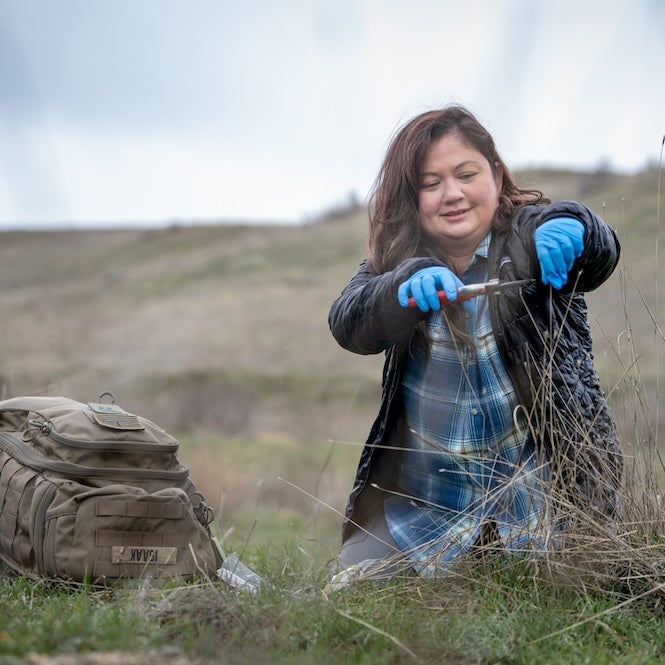 A person collects plant samples in the wilderness
