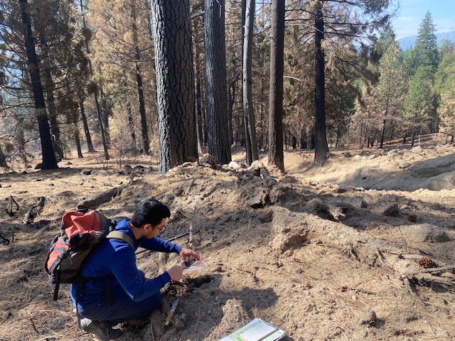 A person crouches in a burn area 