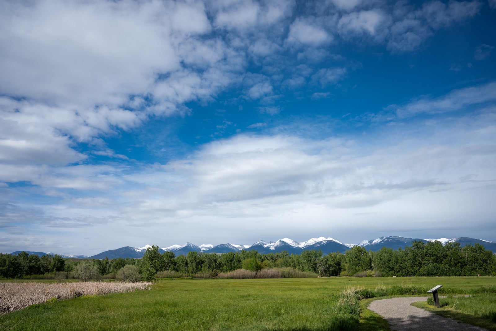 A landscape photo with snow capped mountains in the distance, green grass in foreground