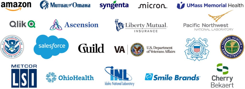 Here are some of logos of the companies where OPWL alumni work.