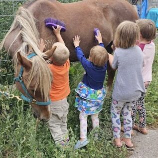 Keegan Mosey's four children brushing the coat of a brown horse with a blonde mane