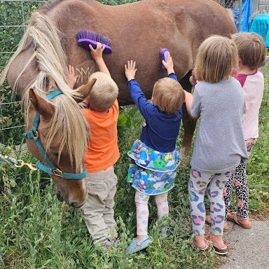 Keegan Mosey's four children brush the coat of a brown horse with a blonde mane
