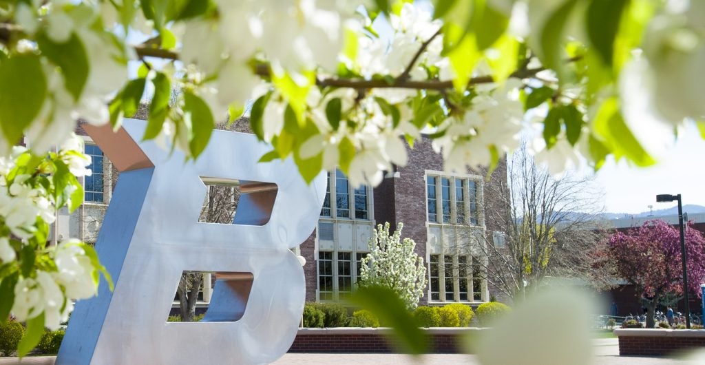 B plaza in spring with blooming trees