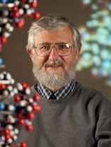 Bernie Yurky