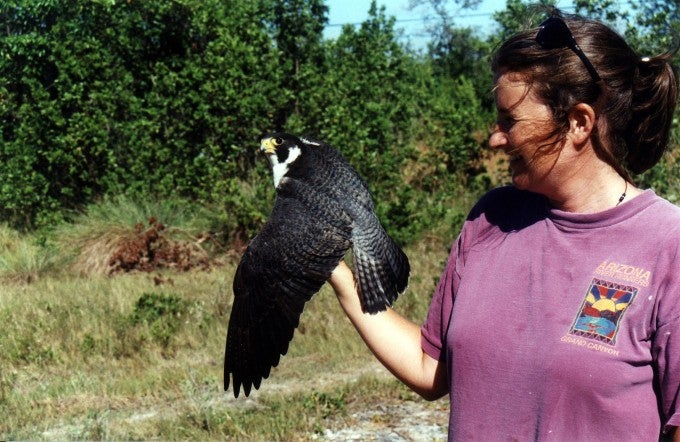 Julie Heath with bird in hand