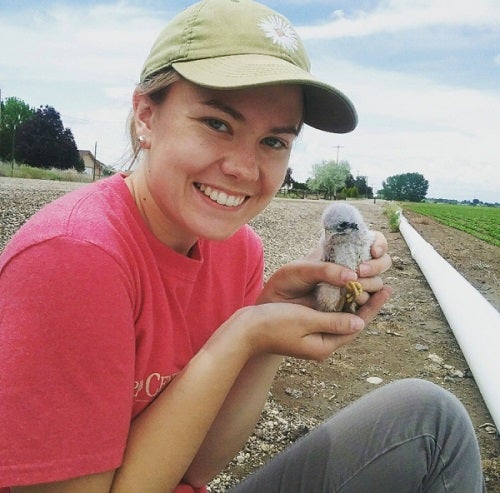 Sadie Ranck holding American Kestrel chick