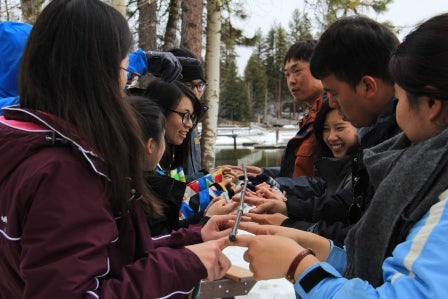 group performs a Team Building activity