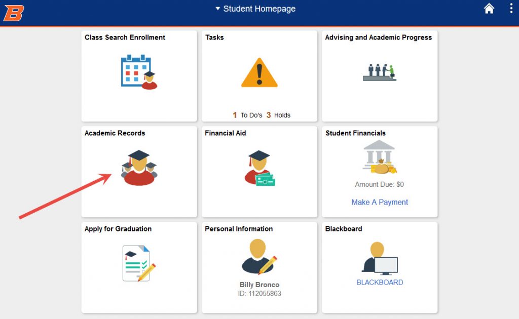 example of select academic records