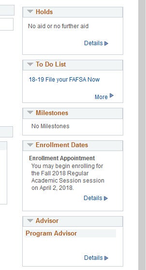 example of program advisor info