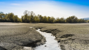 A photograph of drought-stricken land.