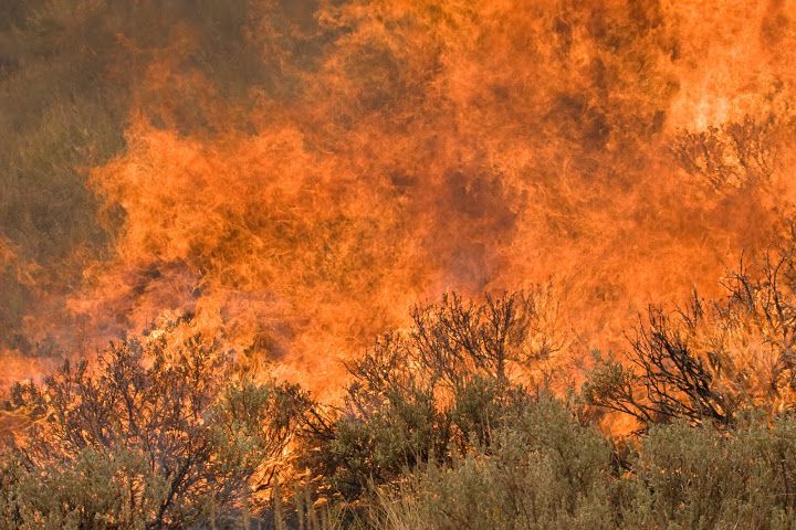 Large fire around sagebrush