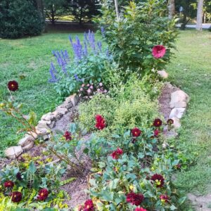 A flower garden surrounded by stones.