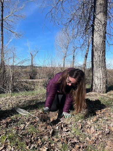 Student removing leaves to make room for a plant
