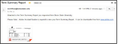 emailwithTerm Summary Report attachment