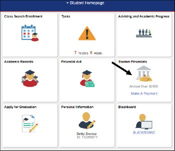 Student Financials Tile screenshot
