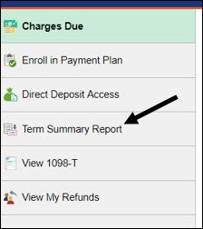 Term Summary Report