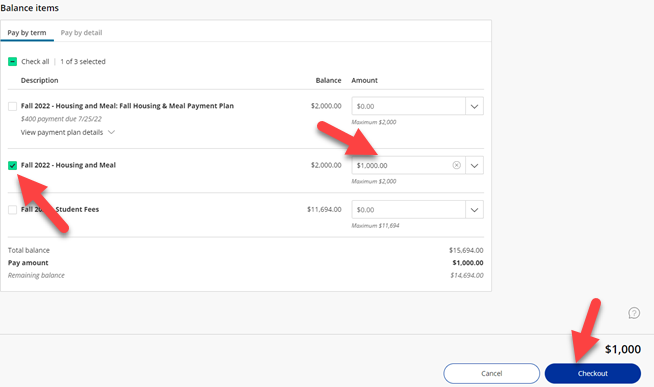 Pick Payments and checkout screen