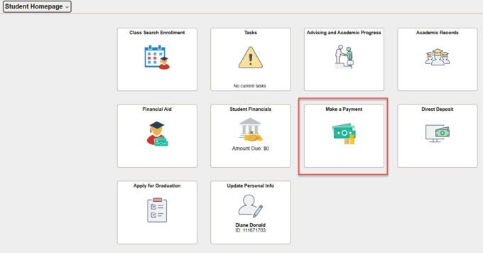 Select make a payment from student homepage