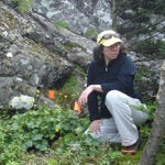 Scientist taking plant samples
