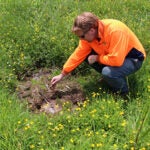 scientist taking soil samples