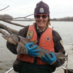 biologist with fish