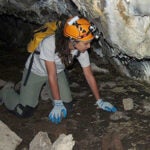 Geologist