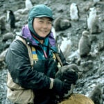 Penguin biologist
