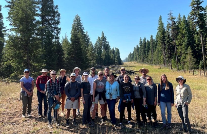Groups standing in clearcut forest