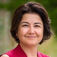 hansen zaynap headshot