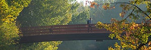 Friendship bridge