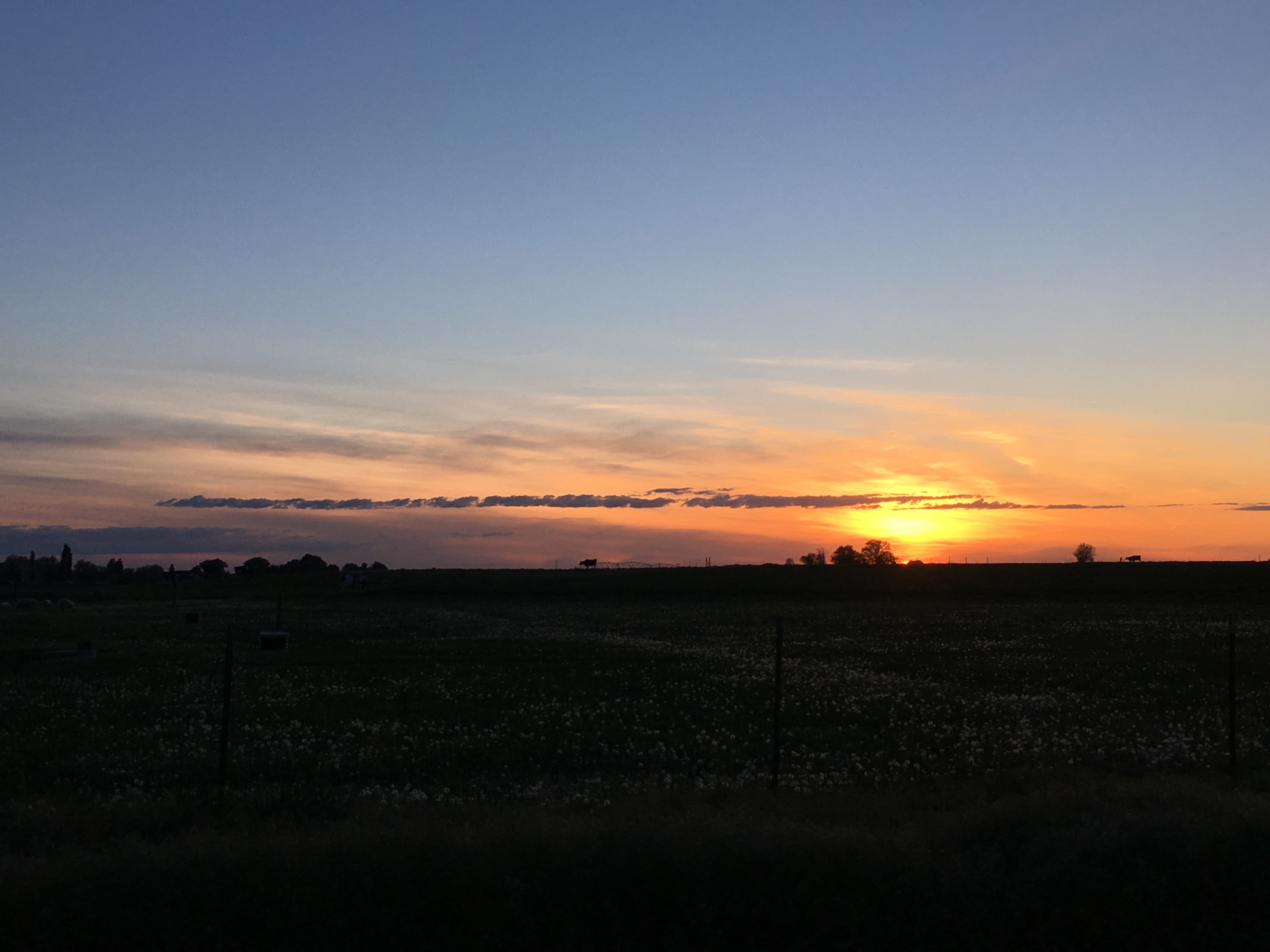 sun setting over a rural landscape