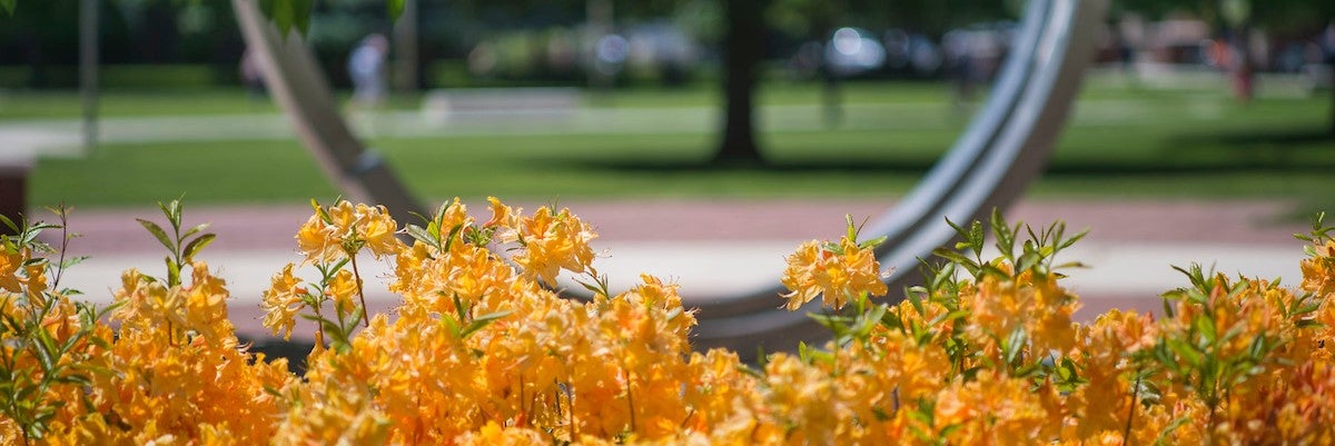 Campus art