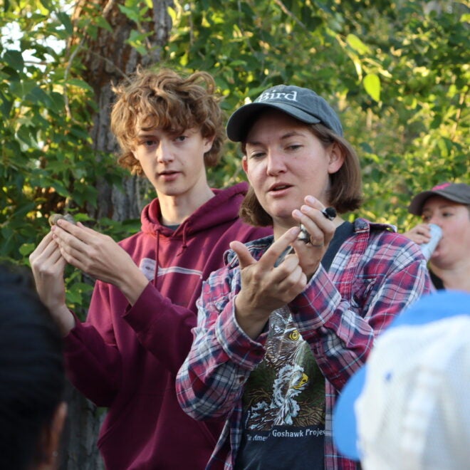 Demonstrating of bird tagging at Intermountain Bird Observatory