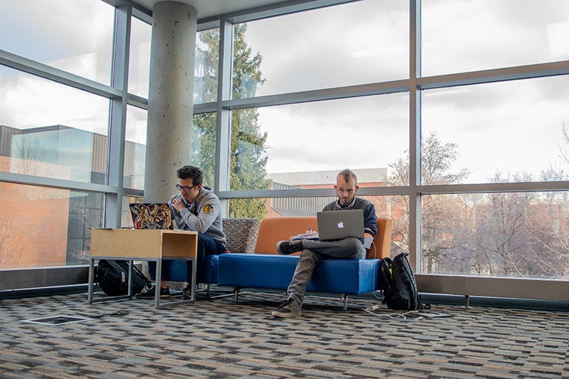 Students studying on campus