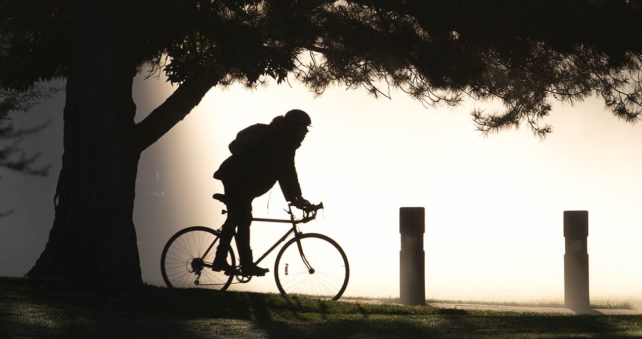 Student cycling through foggy campus
