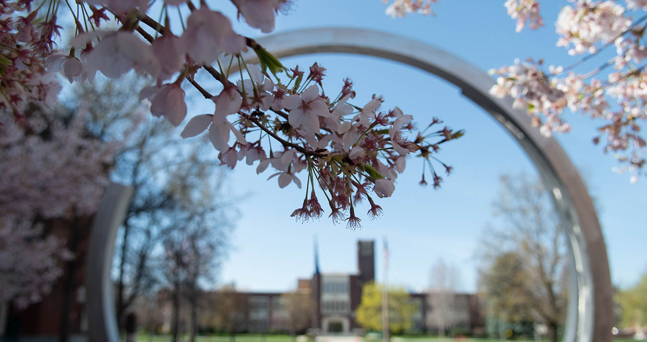 Spring Campus scene with tree blossoms.