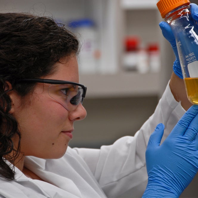 Photo of student examining a sample