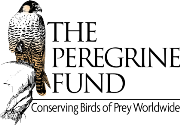 The Peregrine Fund logo with picture of bird and tagline Conserving Birds of Prey Worldwide