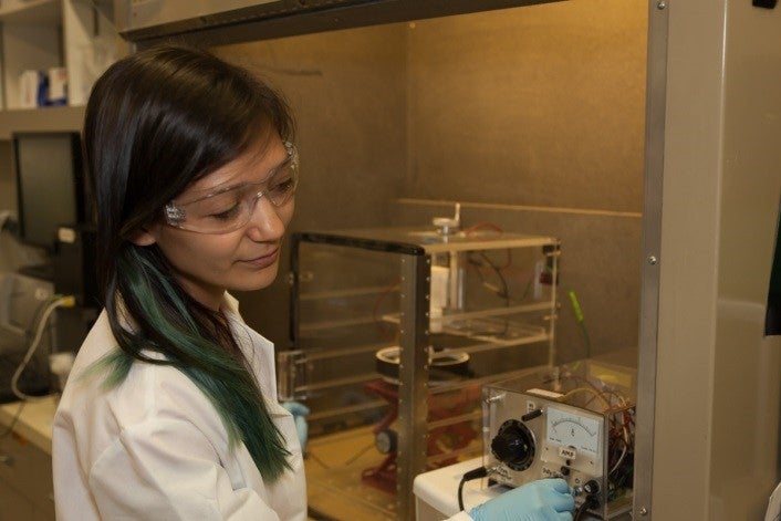 student working in the lab