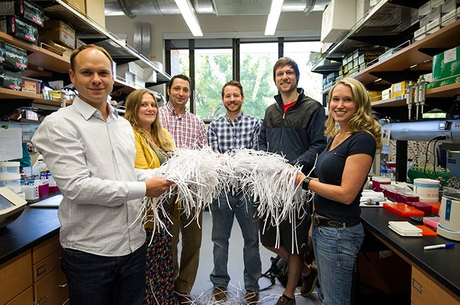 Team holding reams of paper data
