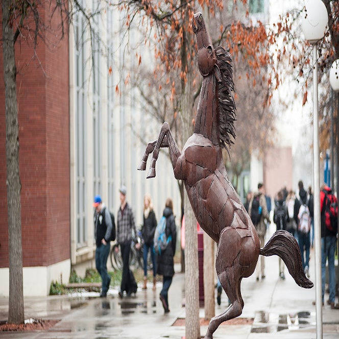 Squished photo of Bronco sculpture