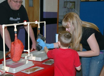 PiercePark6 Attendees feeling a pair of pigs lungs affected by smoking