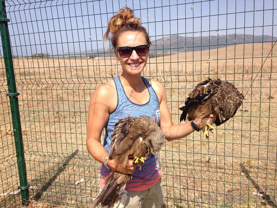 Tempe working on Fundacion Migres Black Kite monitoring project