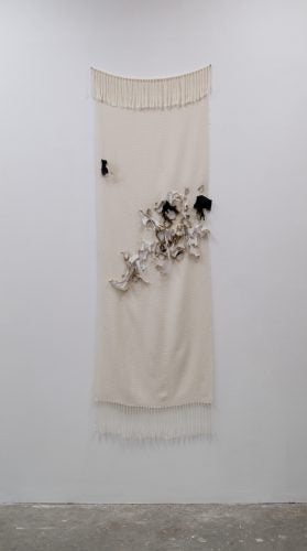 “The Shroud of 1,000 Springs Jane Doe"
