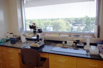 Grain mount polishing workstation