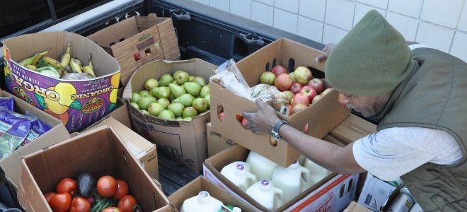 volunteer sorts food donations