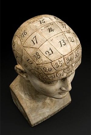 map of brain sections on sculpture