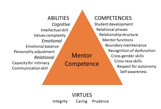 Triangular Model of Mentor Competence listing abilities, competencies, and virtues.